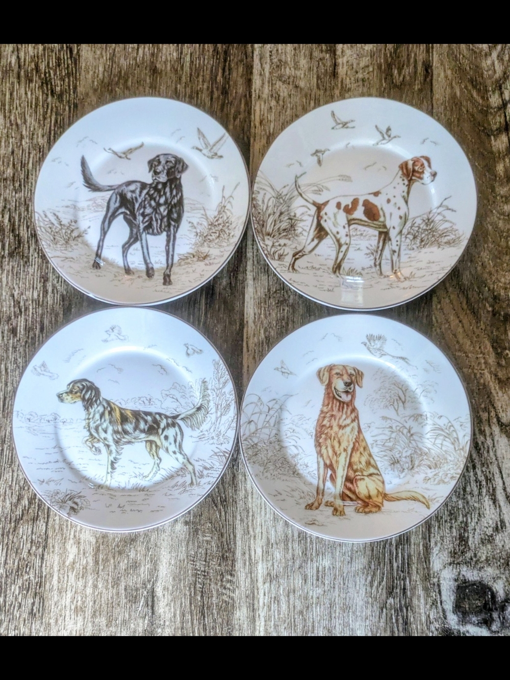 Williams Sonoma Plymouth Hunting Dogs Salad Plates 7",